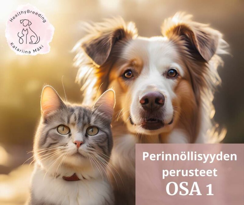 Perinnöllisyyden perusteet Osa 1. Geenit ja niiden toiminta
